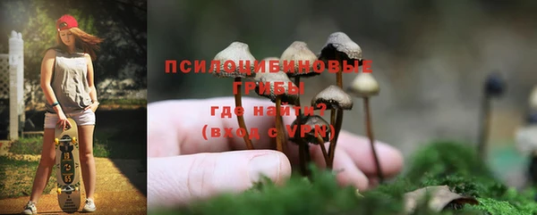 PSILOCYBIN Богданович